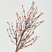 Load image into Gallery viewer, Pips Spray Pumpkin Spice 20 Inch