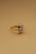 Load image into Gallery viewer, Aurial Ring