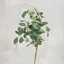 Load image into Gallery viewer, Eucalyptus Large Floral Pick