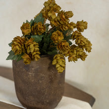 Load image into Gallery viewer, Green Hops Bush 16"