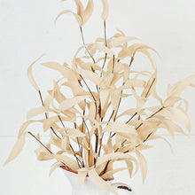 Load image into Gallery viewer, 24in Buttercup Herb Leaves Bush