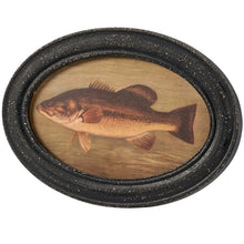 Load image into Gallery viewer, Framed Oval Bass Print