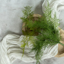Load image into Gallery viewer, Asparagus Fern Stem 18"