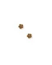 Load image into Gallery viewer, Screwback Stud Earrings - Rose Gold