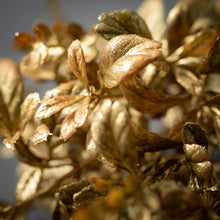 Load image into Gallery viewer, Gilded Gold Spray