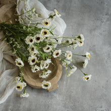 Load image into Gallery viewer, White Paper Daisy Bush Stem 22"