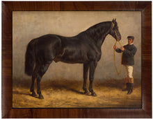 Load image into Gallery viewer, Framed Horse & Rider Vintage Oil Painting Reproduction 16x12