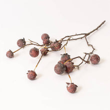 Load image into Gallery viewer, Chinaberry Burgundy Stem