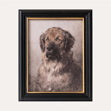 Load image into Gallery viewer, Framed Vintage Leonberger Dog Portrait