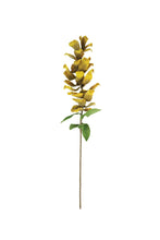 Load image into Gallery viewer, Golden Yellow Botanica Stem #3555