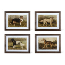 Load image into Gallery viewer, Heritage Hounds Framed Dog Wall Art (4 Styles)