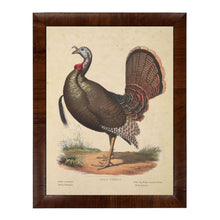 Load image into Gallery viewer, VIntage Wild Turkey Framed Print B 8x10