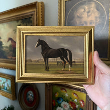 Load image into Gallery viewer, Vintage Style Black Standing Horse in Landscape Art Print 4x6