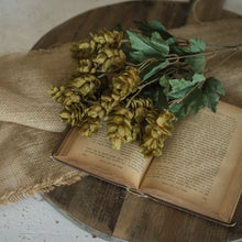 Load image into Gallery viewer, Green Hops Bush 16"