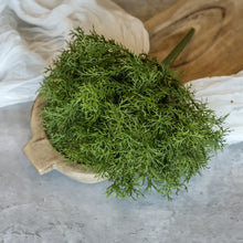 Load image into Gallery viewer, Rosemary Bush Stem 10.5"