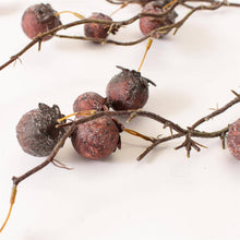 Load image into Gallery viewer, Chinaberry Burgundy Stem