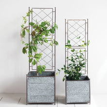 Load image into Gallery viewer, Galvanized Metal Planters with Trellis (2 Sizes)