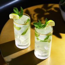 Load image into Gallery viewer, Meridian Crystal Highball Glasses Set of 2 (Online Only)
