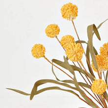 Load image into Gallery viewer, Yellow Country Thistle Berry with Leaves