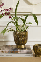 Load image into Gallery viewer, E+E Eloise the Fox Pot