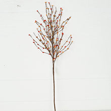 Load image into Gallery viewer, Pips Spray Pumpkin Spice 20 Inch