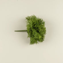 Load image into Gallery viewer, Rosemary Bush Stem 10.5"