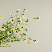 Load image into Gallery viewer, White Paper Daisy Bush Stem 22"