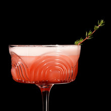 Load image into Gallery viewer, Beau Crystal Cocktail Coupes (Online Only)