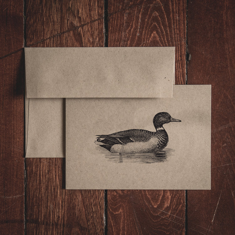 Hollis Duck Collection Notecard Set