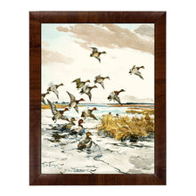 Load image into Gallery viewer, Watercolor Painting of Ducks Flying B Frame Print 18x24
