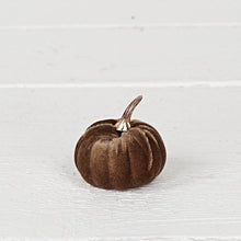 Load image into Gallery viewer, Velvet Brown Mini Pumpkins
