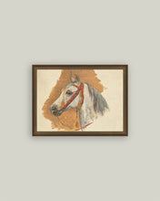 Load image into Gallery viewer, A Horse's Head with Red Bridle 7x5
