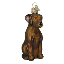 Load image into Gallery viewer, Chocolate Labrador Ornament [Online Only]
