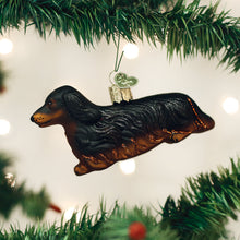 Load image into Gallery viewer, Long-haired Dachshund [Online Only]
