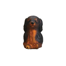 Load image into Gallery viewer, Long-haired Dachshund [Online Only]
