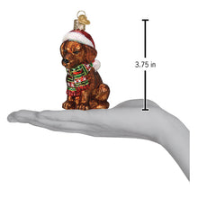 Load image into Gallery viewer, Holiday Chocolate Labrador Pup Ornament [Online Only]
