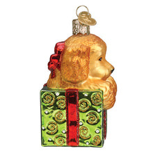Load image into Gallery viewer, Doodle Puppy Surprise Ornament [Online Only]
