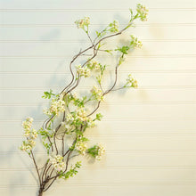 Load image into Gallery viewer, Arabian Jasmine Branch
