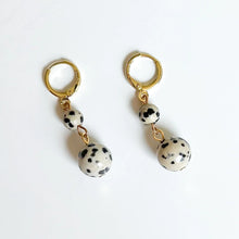Load image into Gallery viewer, Dalmatian Jasper Drop Earrings
