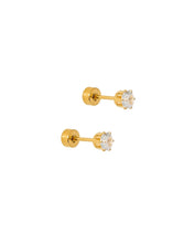 Load image into Gallery viewer, Screwback Stud Earrings - Helen Gold
