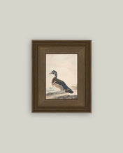 Load image into Gallery viewer, A Duck Framed Antique Art (Various Sizes)
