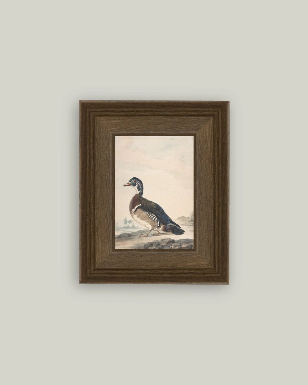A Duck Framed Antique Art (Various Sizes)