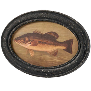 Framed Oval Bass Print