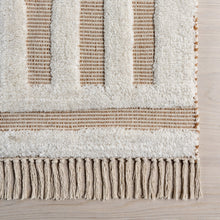 Load image into Gallery viewer, Merrick Tasseled Cotton and Wool Area Rug (Rust)
