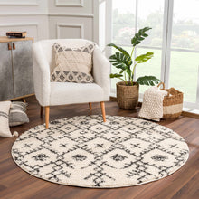 Load image into Gallery viewer, Godalming Plush Area Rug [Online Only]
