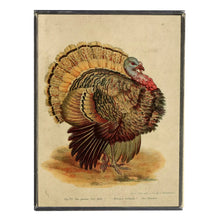 Load image into Gallery viewer, Vintage Print Artwork (Various Designs)
