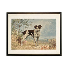 Load image into Gallery viewer, Vintage English Pointer on a Distressed Natural Background Framed Print 10x8
