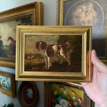 Load image into Gallery viewer, Vintage Style Cocker Spaniel Dog Portrait Framed Art Print 4x6
