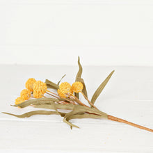 Load image into Gallery viewer, Yellow Country Thistle Berry with Leaves
