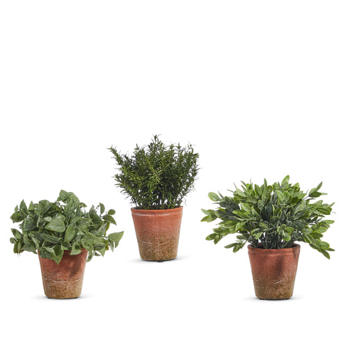 Soft Touch Potted Herb (3 Styles)